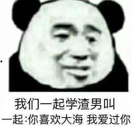 不说了.爱过表情包,那些难忘的瞬间与表情包