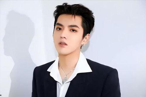 明星吴姓,璀璨星河中的璀璨星辰